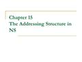 Chapter 15 The Addressing Structure in NS. The Default Address Format 32 lower bits for port-id, 1 higher bit for mcast and the rest 32 higher bits for.