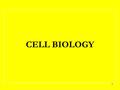 CELL BIOLOGY 1. Cell Biology (Cytology) is a scientific discipline that studies cells – their physiological properties, their structure, the organelles.