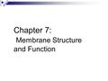 Chapter 7: Membrane Structure and Function. Plasma Membrane The membrane at the boundary of every cell. Functions as a selective barrier for the passage.