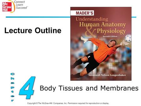 Body Tissues and Membranes Copyright © The McGraw-Hill Companies, Inc. Permission required for reproduction or display. Lecture Outline.