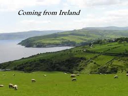 Coming from Ireland. My Great Grandfather: Thomas Gillan He gave up his ticket on the titanic because he fell madly in love with my great grandmother.