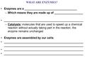 WHAT ARE ENZYMES? Enzymes are a _________________________________ –Which means they are made up of __________________ __________________________________________________.