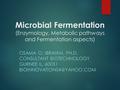 Microbial Fermentation (Enzymology, Metabolic pathways and Fermentation aspects) OSAMA O. IBRAHIM, PH.D. CONSULTANT BIOTECHNOLOGY GURNEE IL. 60031