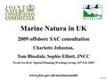 Www.jncc.gov.uk/marineconsult Marine Natura in UK 2009 offshore SAC consultation Charlotte Johnston, Tom Blasdale, Sophie Elliott, JNCC North Sea RAC Spatial.