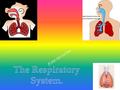  Did you know that the that there is a right lung and a left lung.  Also the left lung has 2 lobes and the right lung has 3 lobes.  What the.