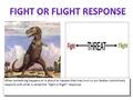 When something happens or is about to happen that may hurt us our bodies instinctively respond with what is called the fight or flight response.