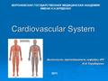 Cardiovascular System Выполнила: преподаватель кафедры ИЯ И.И.Торубарова ВОРОНЕЖСКАЯ ГОСУДАРСТВЕННАЯ МЕДИЦИНСКАЯ АКАДЕМИЯ ИМЕНИ Н.Н.БУРДЕНКО 2011.