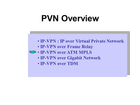 PVN Overview IP-VPN : IP over Virtual Private Network IP-VPN over Frame Relay IP-VPN over ATM MPLS IP-VPN over Gigabit Network IP-VPN over TDM.