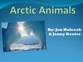 By: Jen Holecek & Jenny Dexter. ARCTIC ANIMALS IN ACTION…