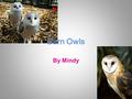 Barn Owls By Mindy. Introduction Barn owls are owls that does not hoot but screech. They are also called Tyto alba alba in Latin.