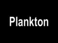 What is plankton?