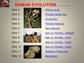 HUMAN EVOLUTION (knicked from Hamish) Slide 2Where we fitWhere we fit Slide 3 Primate family treePrimate family tree Slide 4 HominoidsHominoids Slide 5Primate.