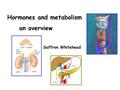 Hormones and metabolism an overview