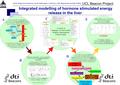 UCL Beacon Project Poster design and research by James Hetherington. Linzhong Li, Ofer Margoninski and Peter Saffrey. Integrated modelling of hormone stimulated.