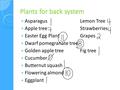 Plants for back system AsparagusLemon Tree Apple treeStrawberries Easter Egg PlantGrapes Dwarf pomegranate tree Golden apple treeFig tree Cucumber Butternut.