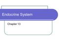 Endocrine System Chapter 13. Endocrine System Releases hormones Into bloodstream that are then delivered to cells Works with the nervous system Nervous.