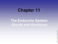 Copyright © 2004 Lippincott Williams & Wilkins Chapter 11 The Endocrine System: Glands and Hormones.