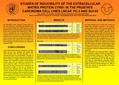 STUDIES OF INDUCIBILITY OF THE EXTRACELLULAR MATRIX PROTEIN CYR61 IN THE PROSTATE CARCINOMA CELL LINES LNCAP, PC-3 AND DU145 Ulrike Fiedler, *Uta Schmidt,