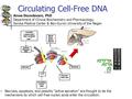 Circulating Cell-Free DNA Necrosis, apoptosis, and possibly “active secretion” are thought to be the mechanisms by which cell-free nucleic acids enter.