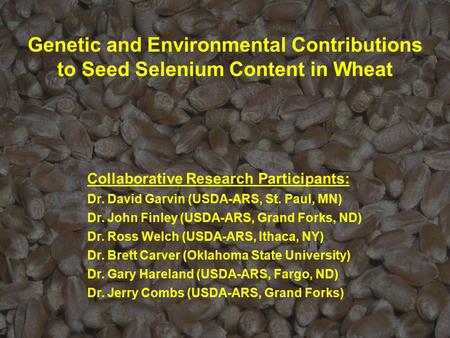 Genetic and Environmental Contributions to Seed Selenium Content in Wheat Collaborative Research Participants: Dr. David Garvin (USDA-ARS, St. Paul, MN)