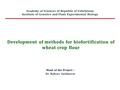 Development of methods for biofortification of wheat crop flour Head of the Project : Dr. Baboev Saidmurat Academy of Sciences of Republic of Uzbekistan.