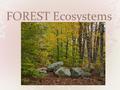 FOREST Ecosystems. Description PLANTS PLANT Adaptations Wildflowers grow on forest floor early in the spring before trees leaf-out and shade the forest.