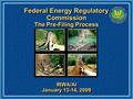 Federal Energy Regulatory Commission The Pre-Filing Process IRWA/AI January 13-14, 2009 IRWA/AI.