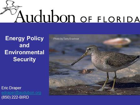 Energy Policy and Environmental Security Eric Draper (850) 222-BIRD.