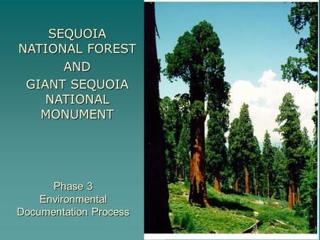 Phase 3 Environmental Documentation Process SEQUOIA NATIONAL FOREST AND GIANT SEQUOIA NATIONAL MONUMENT.