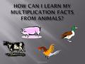 Sarah Schmaltz. There are many ways to learn our multiplication facts! Repeated addition Finding patterns Counting There are many ways to classify animals.