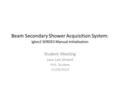 Beam Secondary Shower Acquisition System: Igloo2 SERDES Manual Initialization Student Meeting Jose Luis Sirvent PhD. Student 31/03/2014.