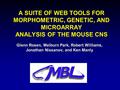 A SUITE OF WEB TOOLS FOR MORPHOMETRIC, GENETIC, AND MICROARRAY ANALYSIS OF THE MOUSE CNS Glenn Rosen, Melburn Park, Robert Williams, Jonathan Nissanov,