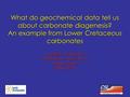 What do geochemical data tell us about carbonate diagenesis? An example from Lower Cretaceous carbonates Guillermina Sagasti Langhorne “Taury” Smith Gregor.