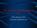 The Anatomy and Physiology of Sex Pierre Rouzier, M.D. University Health Services.