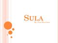 S ULA By: Toni Morrison. SULA Genre: Novel Publication date : November 1973 Author: Toni Morrison.