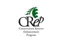 20 to 100 ft. for Filter Strips 35 to 300 ft. for Hardwood Trees & Riparian Forest Buffer 35 to 750 ft. for Wetland Restoration Practice widths.