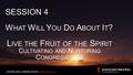 SESSION 4 W HAT W ILL Y OU D O A BOUT I T ? L IVE THE F RUIT OF THE S PIRIT C ULTIVATING AND N URTURING C ONGREGATIONS SESSION 4 W HAT W ILL Y OU D O A.