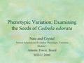 Phenotypic Variation: Examining the Seeds of Cedrela odorata Nate and Crystal Natural Selection and Evolution: Phenotypic Variation Module 3 Atlantic Forest,