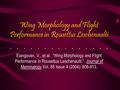 Wing Morphology and Flight Performance in Rousettus Leschenaulti Elangovan, V., et al. “Wing Morphology and Flight Performance in Rousettus Leschenaulti.”