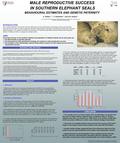 MALE REPRODUCTIVE SUCCESS IN SOUTHERN ELEPHANT SEALS BEHAVIOURAL ESTIMATES AND GENETIC PATERNITY INTRODUCTION The southern elephant is the species with.