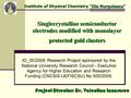 Singlecrystalline semiconductor electrodes modified with monolayer protected gold clusters ID_35/2008: Research Project sponsored by the National University.