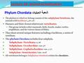 Phylum Chordata الحبليات Phylum Chordata شعبة الحبليات The phylum to which we belong consists of the subphylum Vertebrata, the animals with backbones العمود.