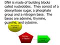 Nitrogen Base Phosphate group Deoxy- ribose DNA is made of building blocks called nucleotides. They consist of a deoxyribose sugar, a phosphate group and.