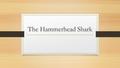 The Hammerhead Shark. Physical Characteristics Hammerhead sharks are consummate predators that use their oddly shaped heads to improve their ability to.