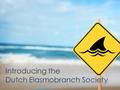 Introducing the Dutch Elasmobranch Society. Shark & ray biology makes them vulnerable to overfishing and habitat destruction Over 40% of European sharks,