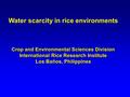 Water scarcity in rice environments Crop and Environmental Sciences Division International Rice Research Institute Los Baños, Philippines.