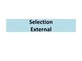 Selection External. Organization Strategy HR and Staffing Strategy Staffing Policies and Programs Staffing System and Retention Management Support Activities.