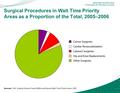 Surgical Procedures in Wait Time Priority Areas as a Proportion of the Total, 2005–2006 Sources: CIHI, Surgical Volume Trends Within and Beyond Wait Time.