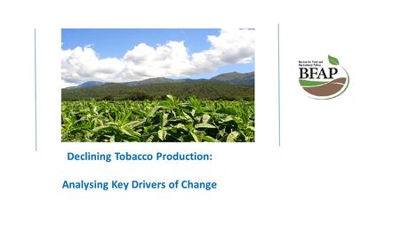 Declining Tobacco Production: Analysing Key Drivers of Change.