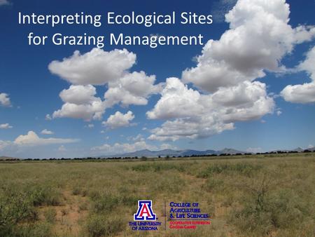 Interpreting Ecological Sites for Grazing Management.